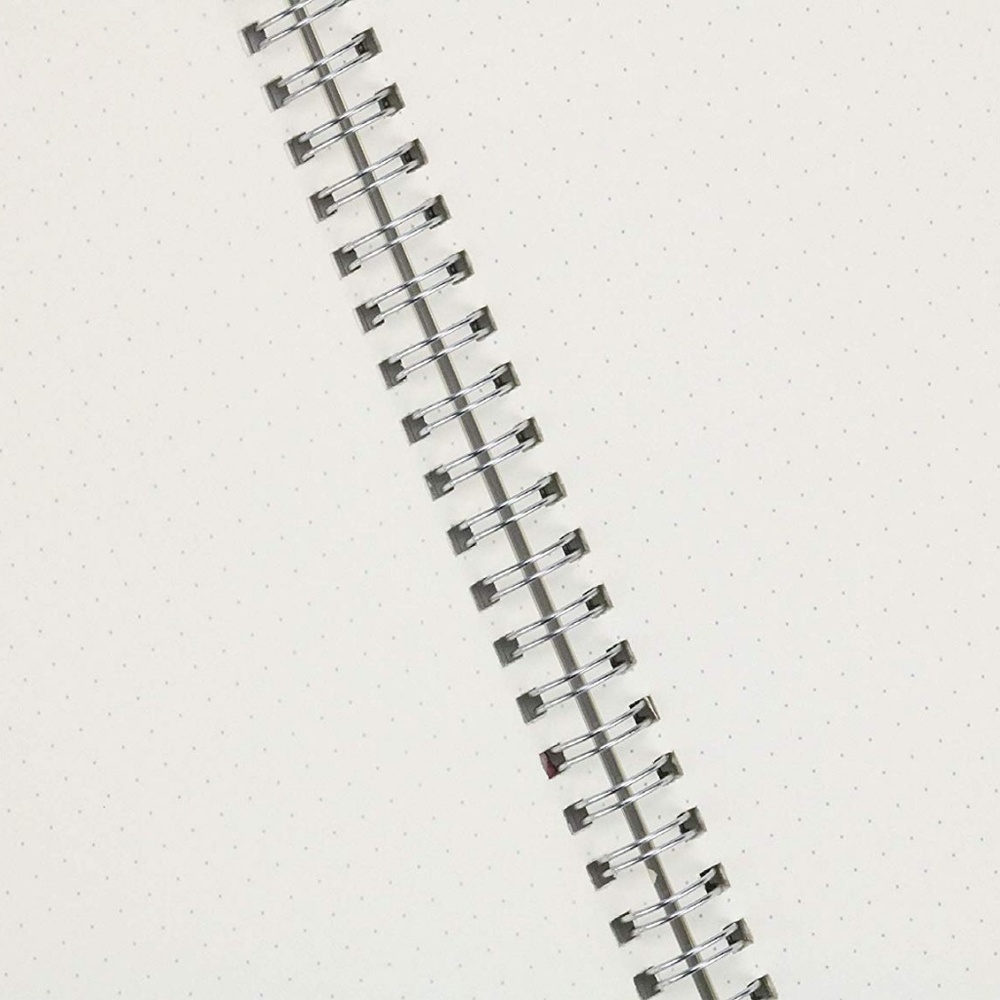 Miliko Rumble Fish Triangle 3 Notebooks(Dot Grid) - Picture 2 of 6